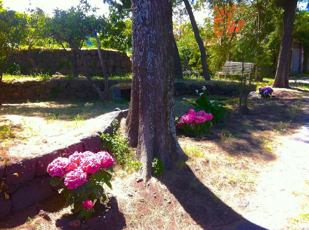 Villa Bonaccorso - Antica E Maestosa Villa Con Piscina Ai Piedi Dell'Etna Viagrande Exterior foto